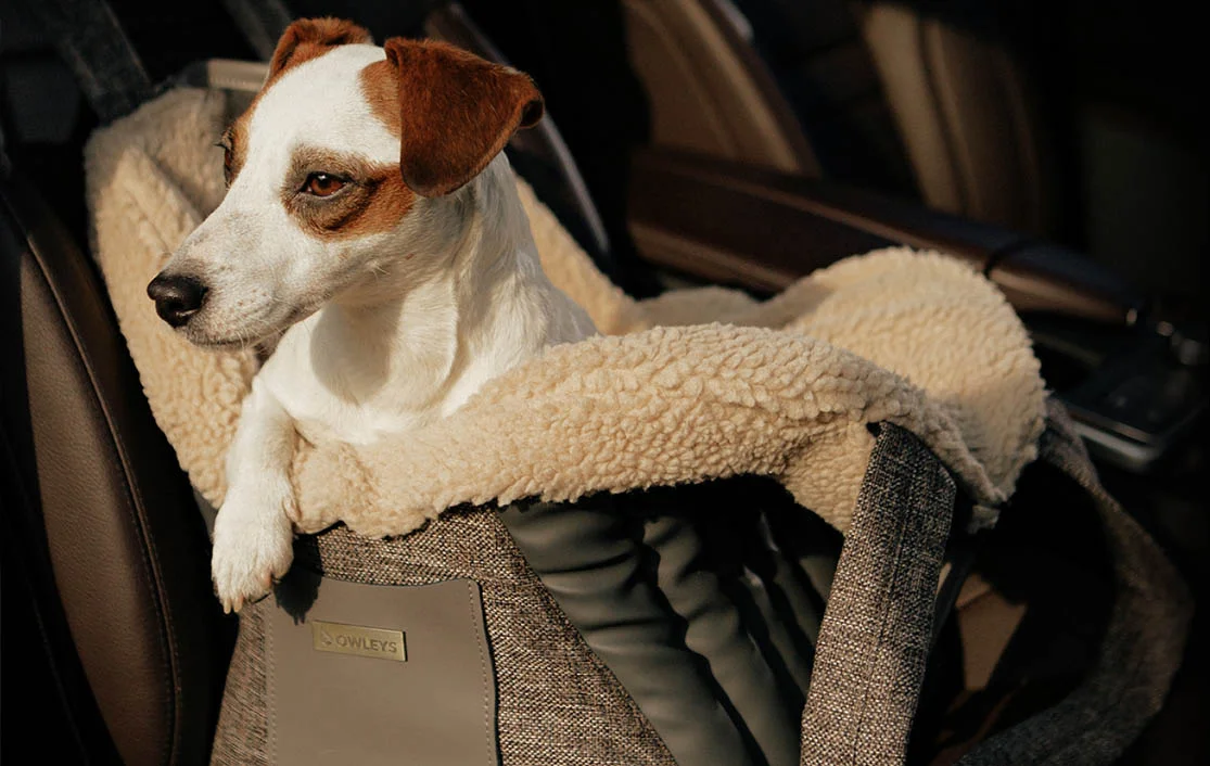 Dog Carrier Purse for Parson Russell Terrier